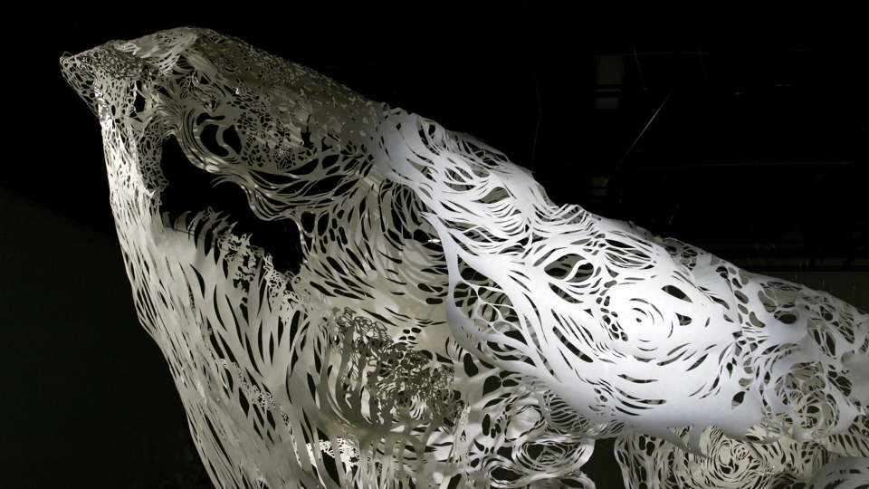 小岛奈保子 · 蓝鲸纸雕的震撼之美-9