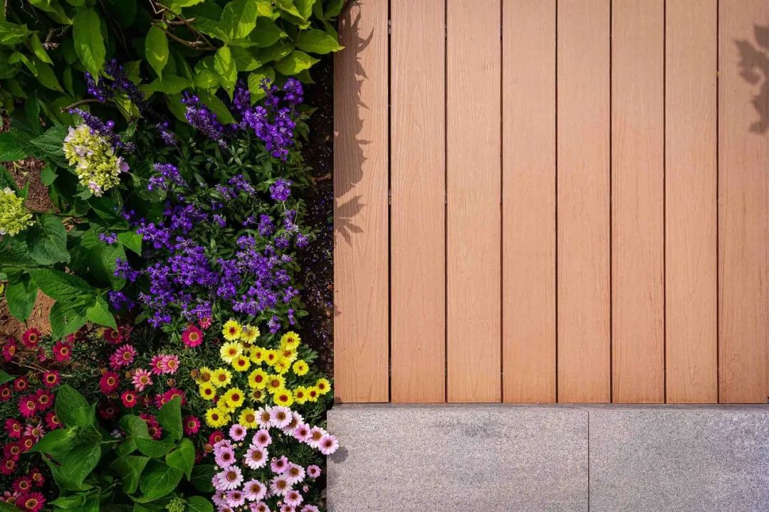 夏日花园养护攻略，打造梦想花园-16