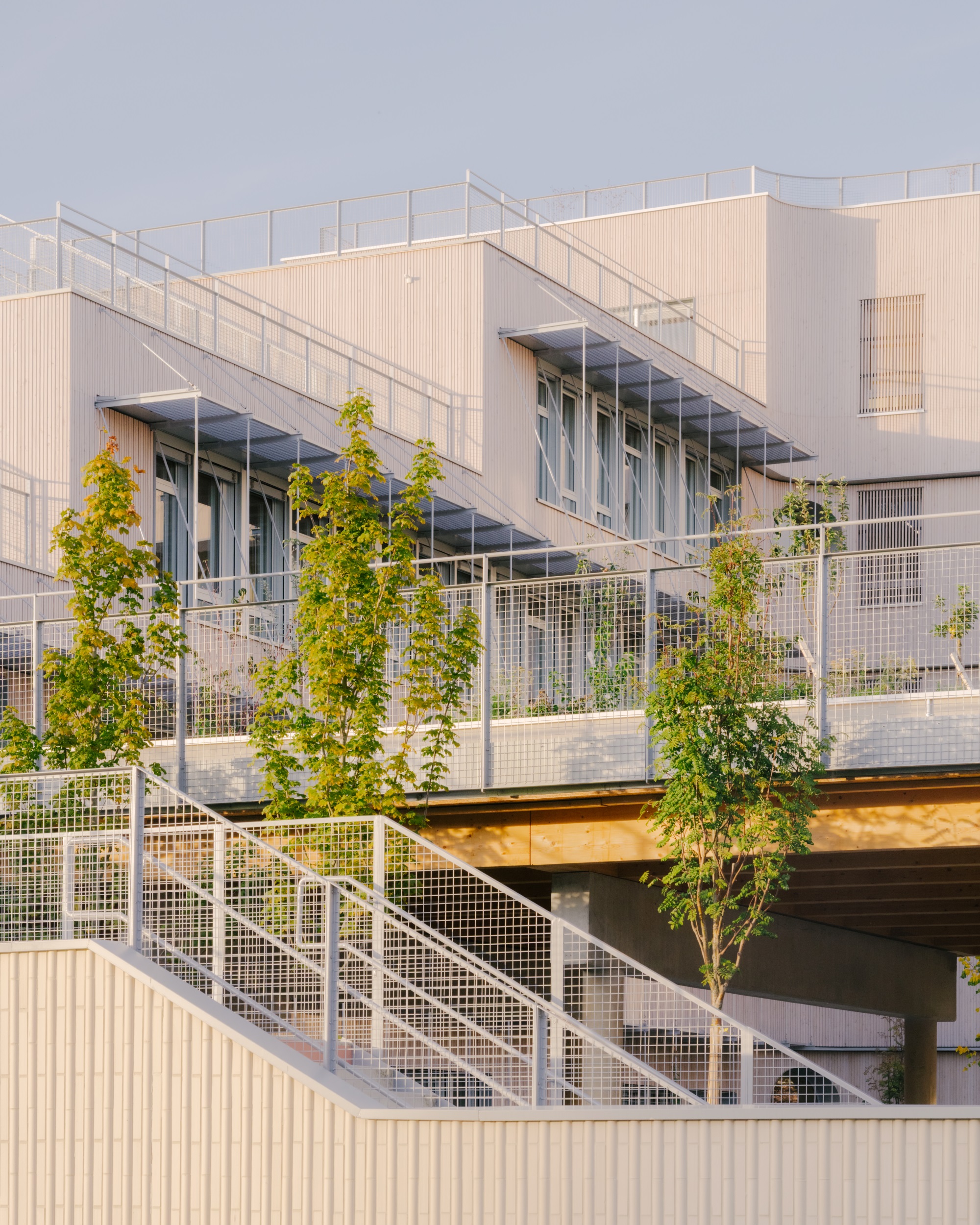 多米尼克·弗洛学校综合体丨法国-40