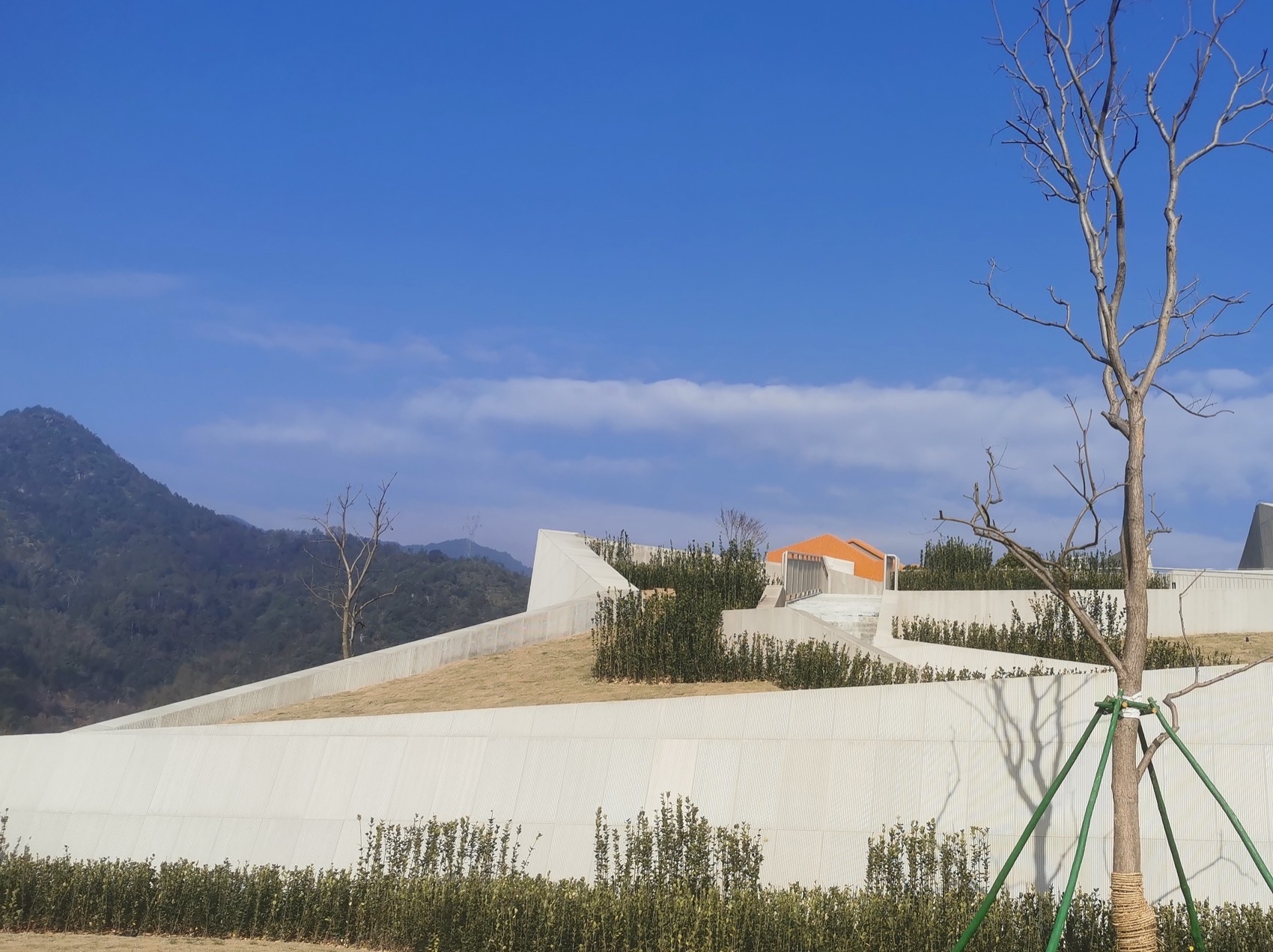 浙南农产品电商交易中心丨中国浙江丨晓设计（杭州）圣宇国际工程设计有限公司-42