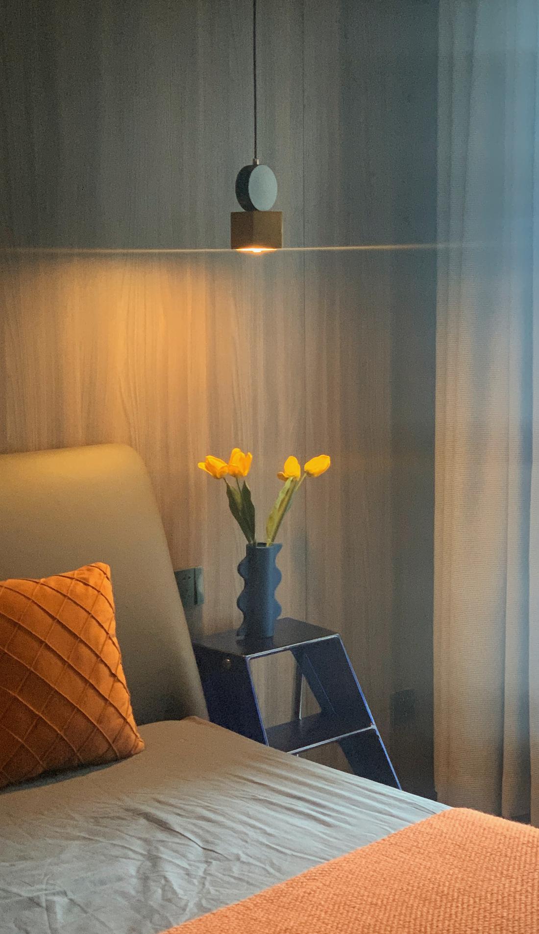 新婚夫妻现代风家居设计-116