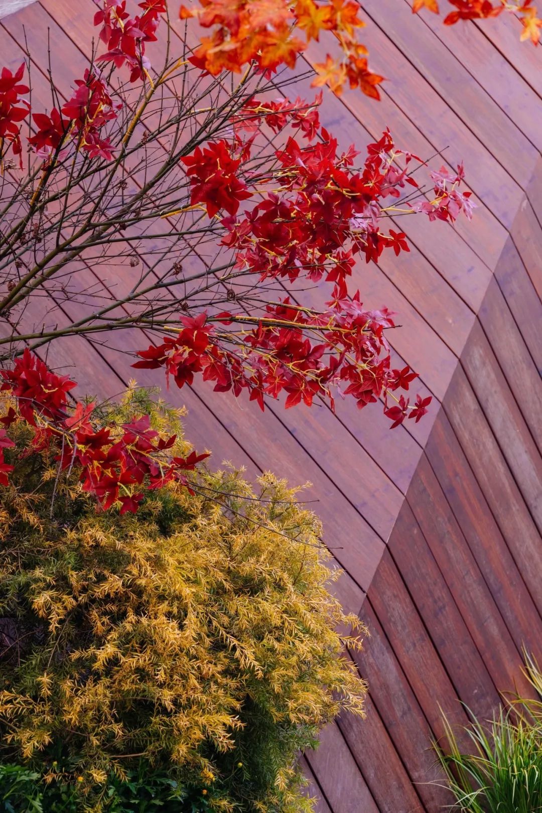 蜀韵新颜——四川领地·观江府景观设计解析-179