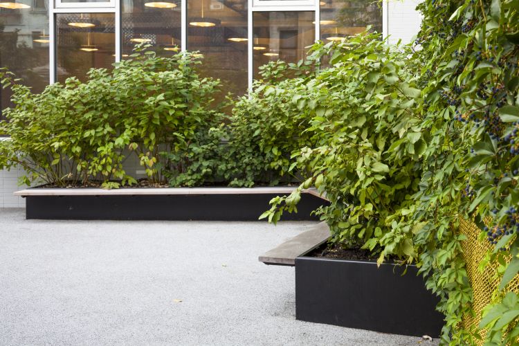 东哈莱姆学校创新庭院设计丨美国纽约丨纳尔逊·伯德·沃尔兹-3