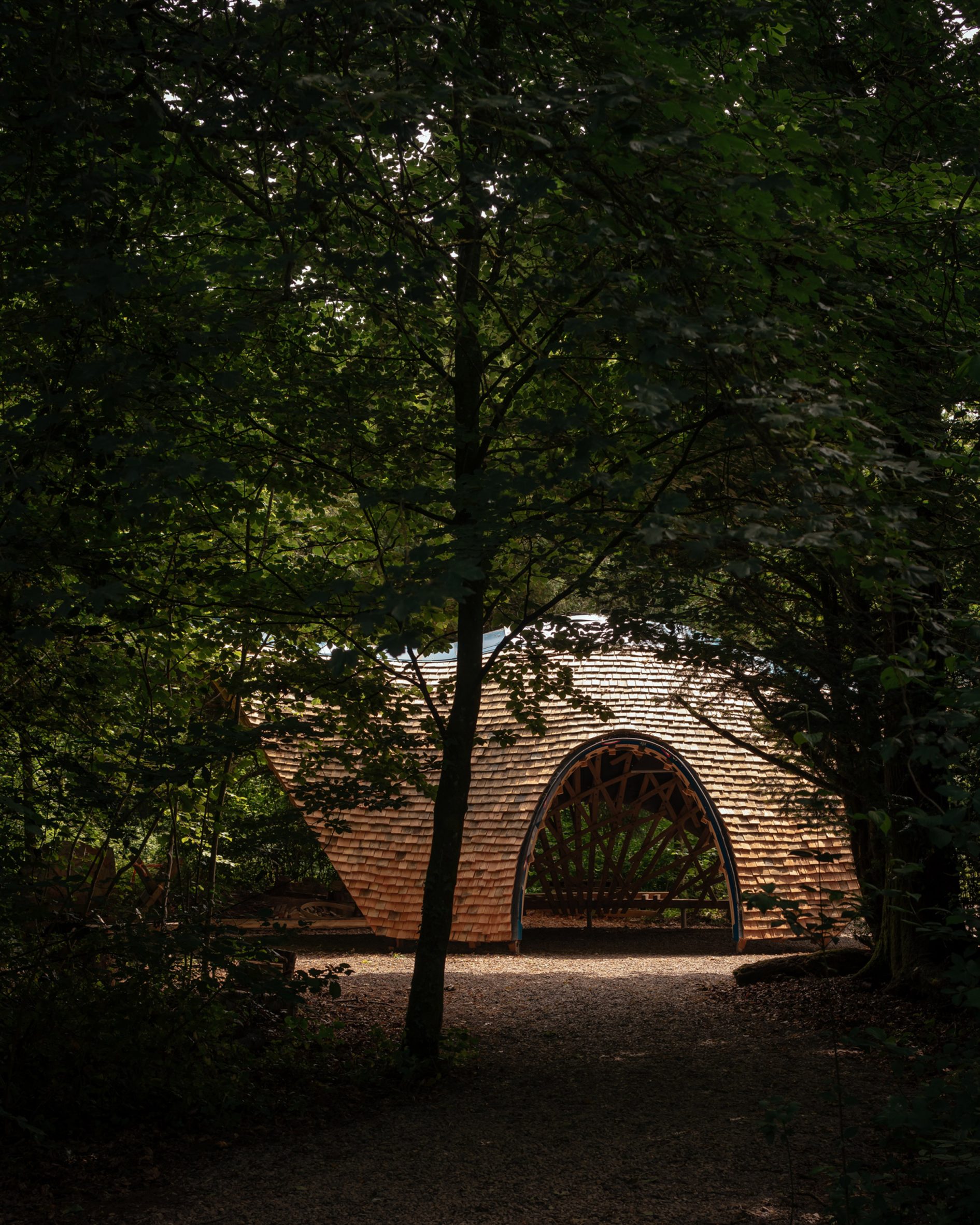 英国 Westonbirt arboretum 社区共建木质庇护所-3