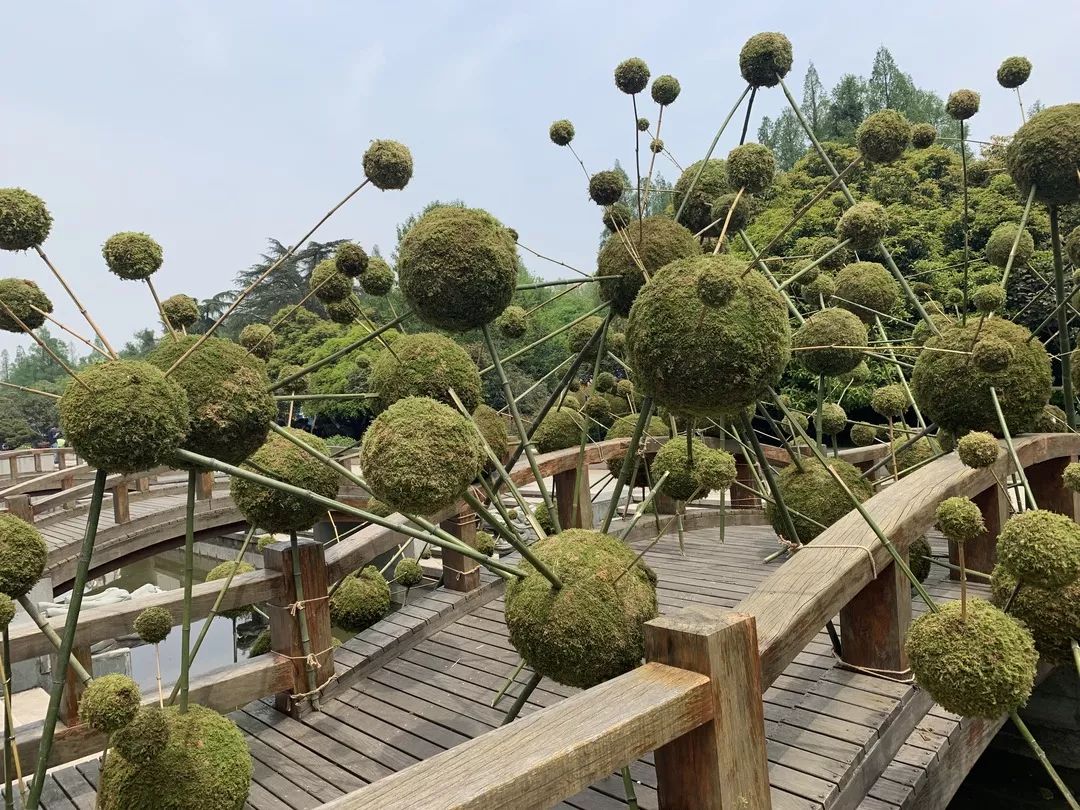 2019 西湖花园节创意花园设计亮点解读-153