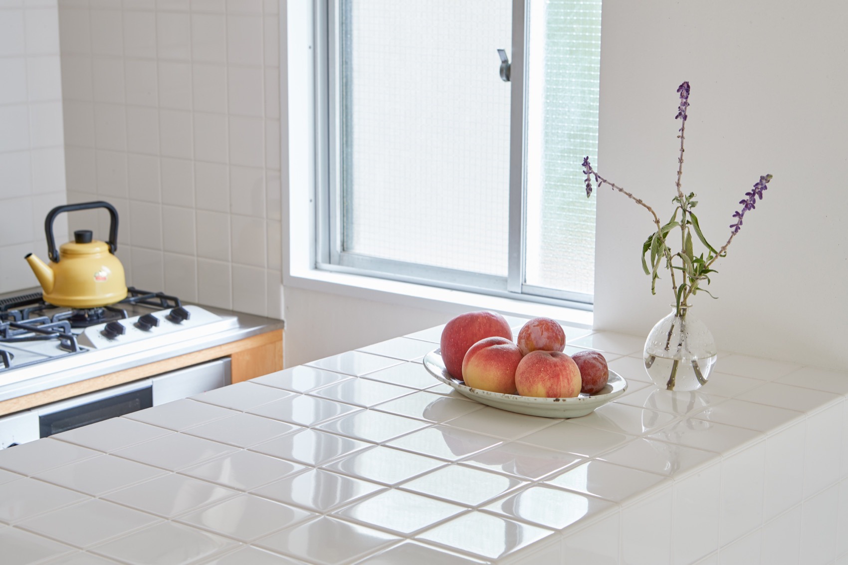 Hayama公寓，日本 / Roovice-14