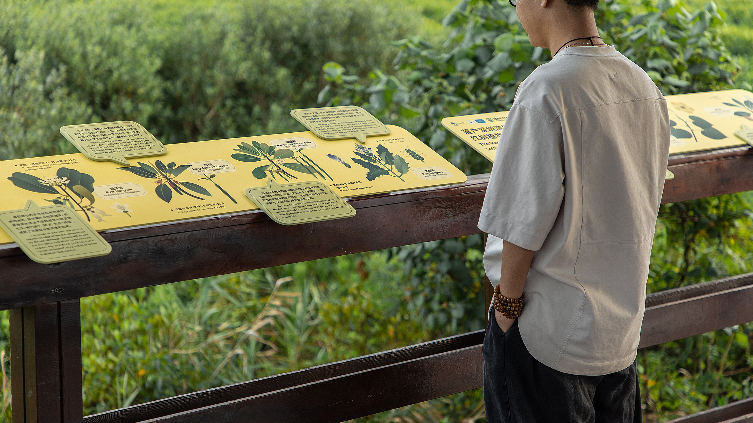 深圳红树林生态公园户外科普互动导视设计丨中国深圳丨共生领域（北京）文化传媒有限公司-35