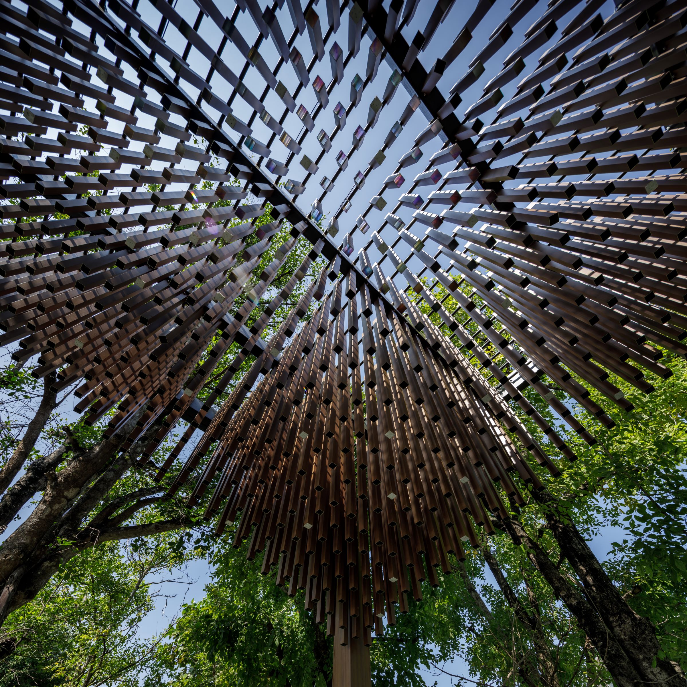 班·伊萨拉·邦纳-16