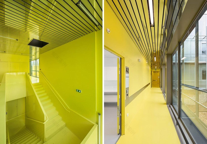 披着神秘外衣的生物基地孵化器-10