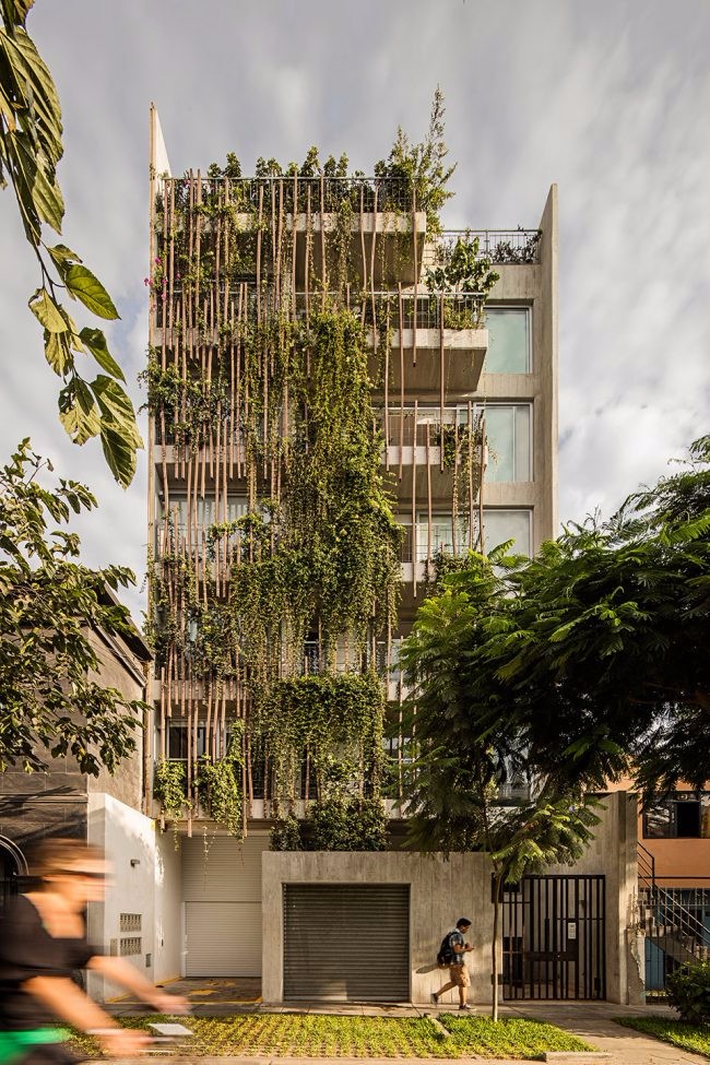 Vicca Verde：秘鲁垂直森林带来的繁茂居住地-6