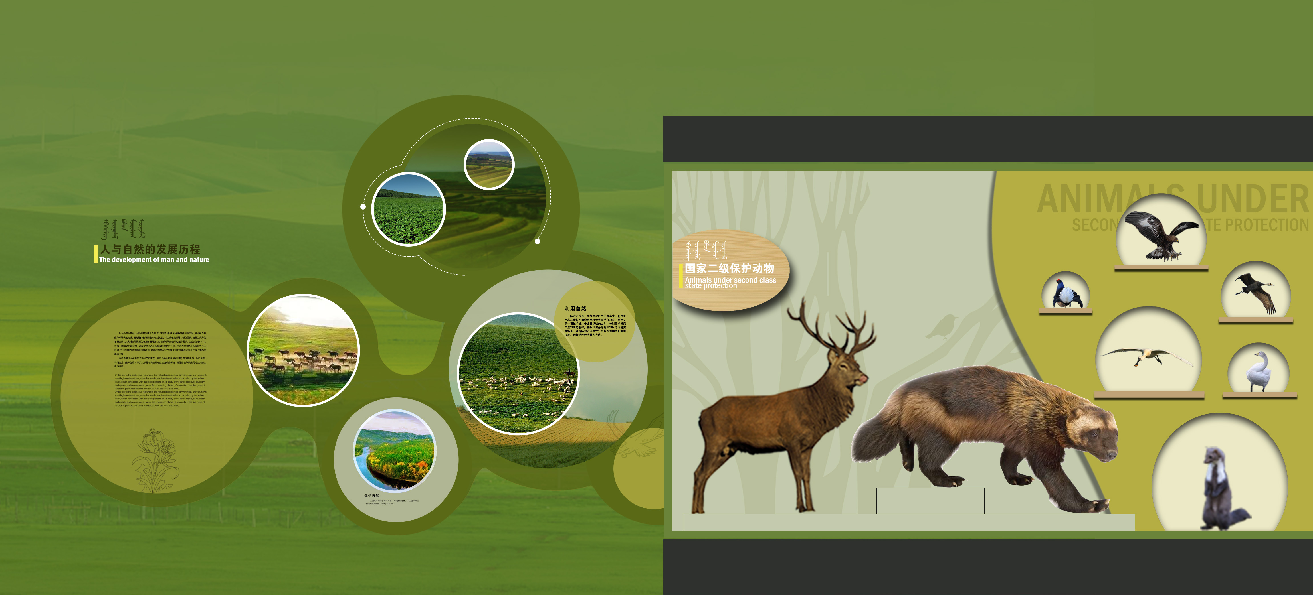 内蒙博物院投标效果图-11