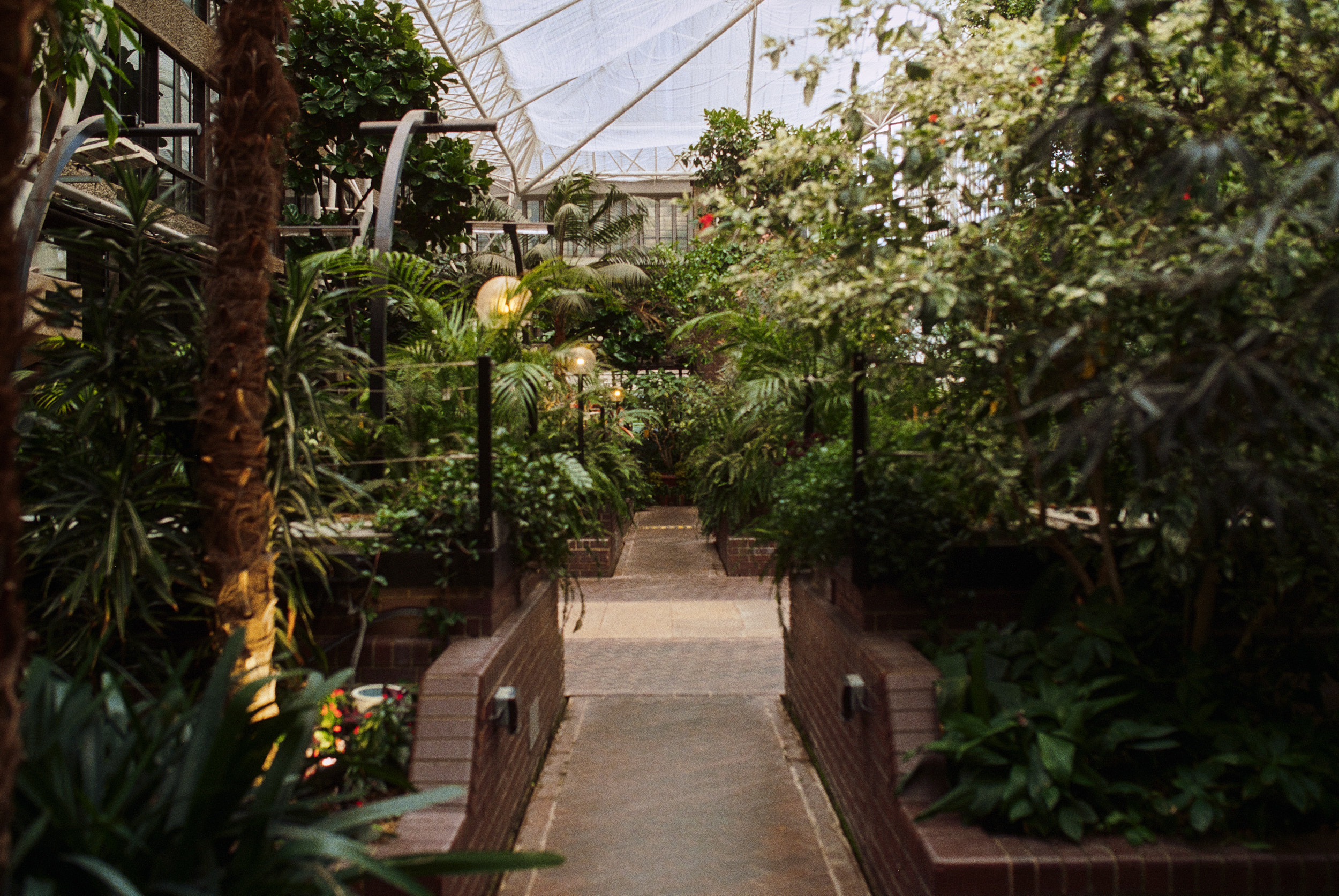 巴比肯温室丨英国伦敦-21