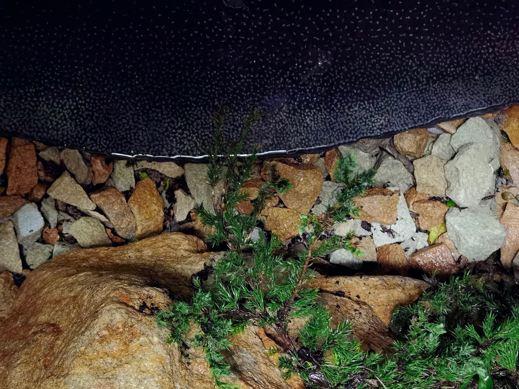 上海桃花源私庭营造丨中国上海丨墨刻丨無言斋造园-64