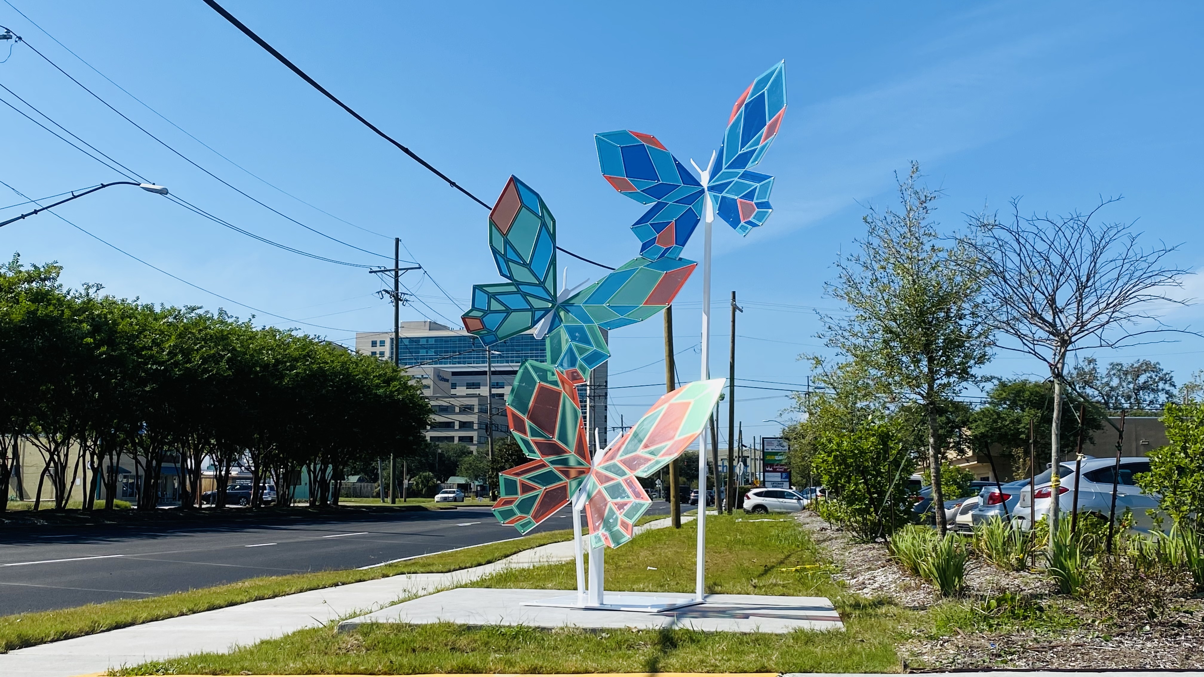 Butterflies - Ochsner Medical 2021-6