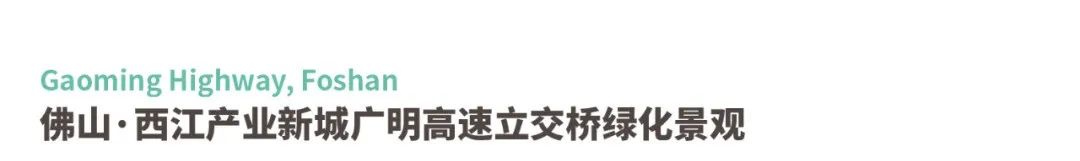 广东绿色生态建设案例展示丨中国广东丨普邦股份-142