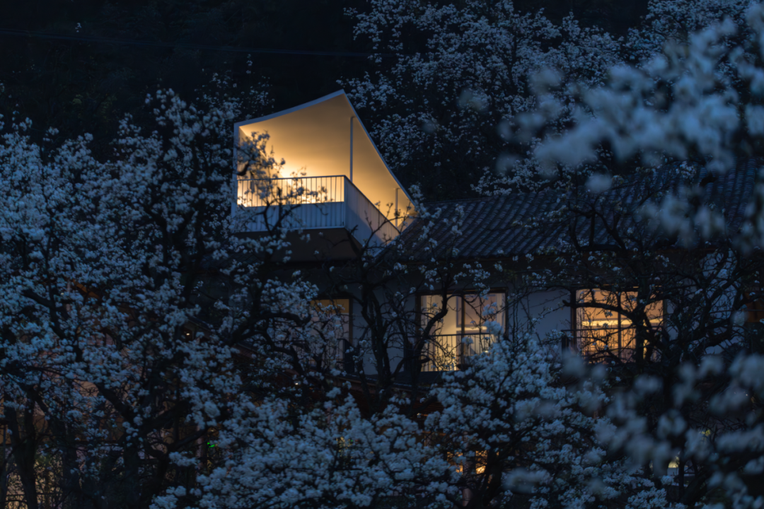 不在山林 · 泸州梨花村丨中国泸州丨小隐建筑事务所-3