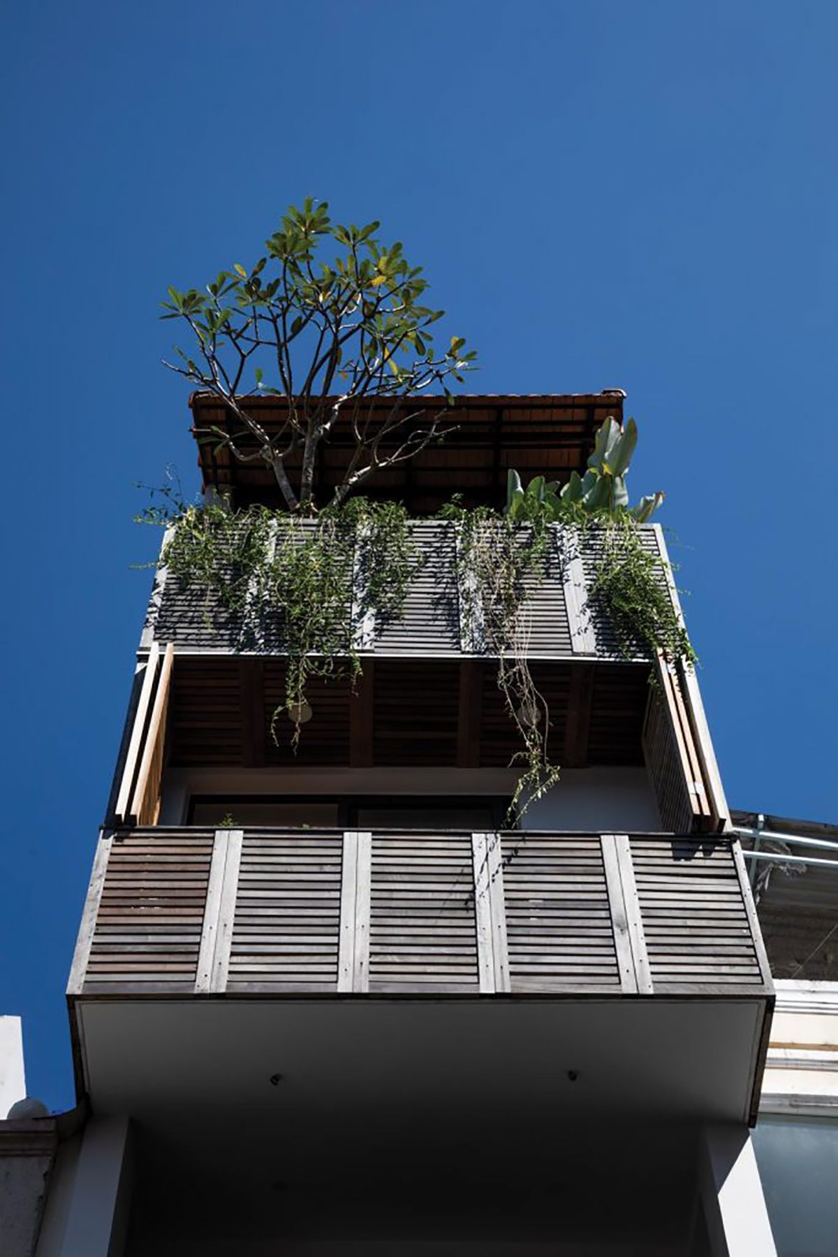 越南度假风 NPK Micro Town House 设计-15