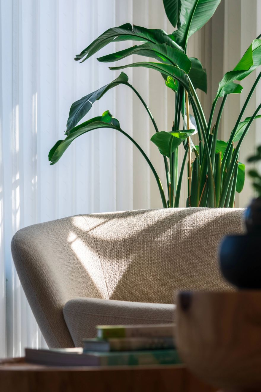 一室光影 回归本真 | 六添设计-56