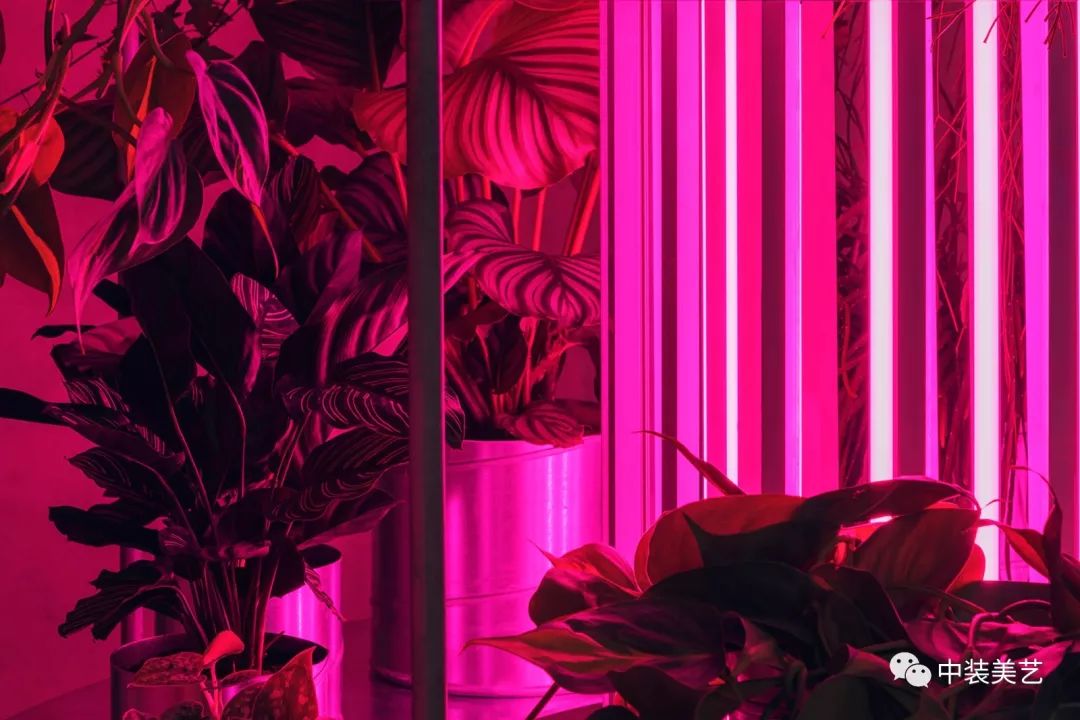 Color /跟着大师学软装-哥本哈根 灯光雕塑TABLEAU花店-80