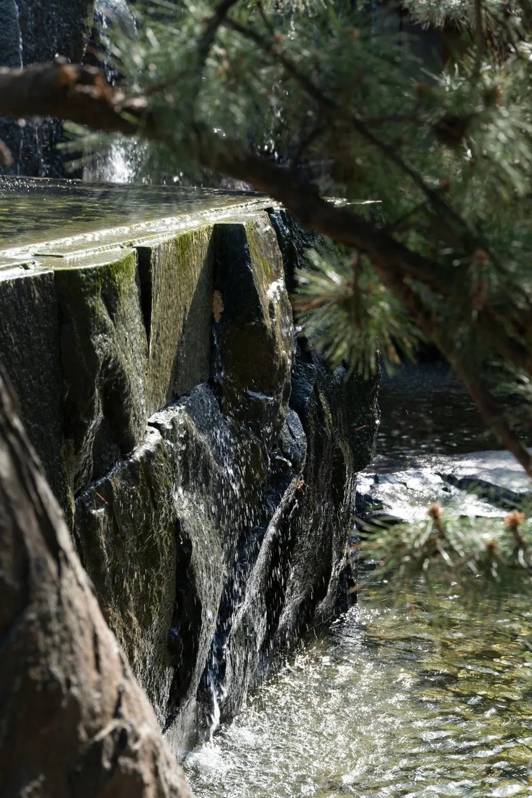 回溯文人内心的林泉 | 中建宸园-26