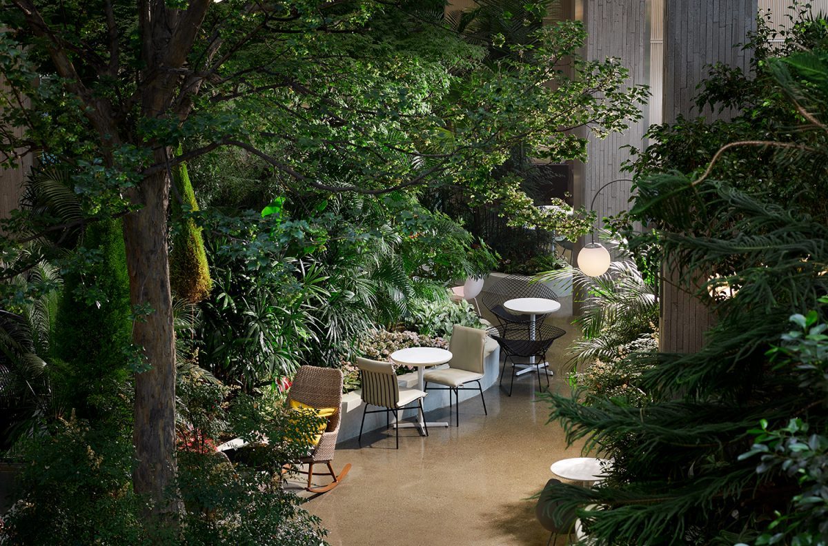 AND TERRACE 내유 -0