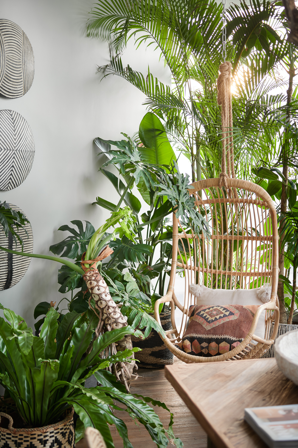 简璞实景呈现，专业设计展现无遗-25