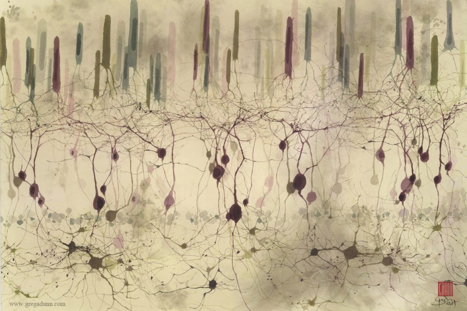 神经艺术 · 探索科学可视化的创新之路-19