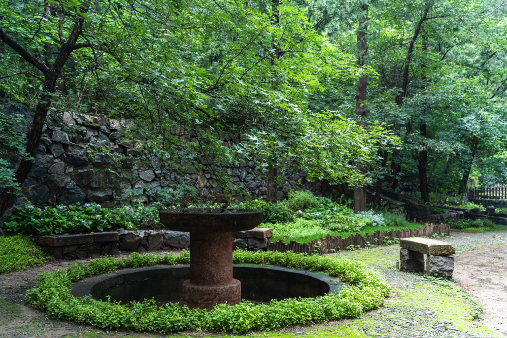 “百年中法友谊的见证者”——北林地景助力贝家花园焕新开放-36