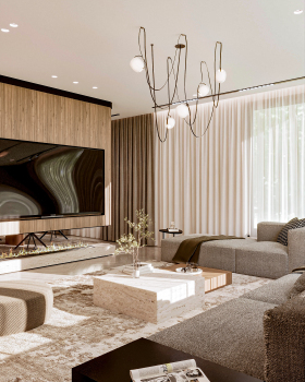 Common Area- Living and Dining 客厅
