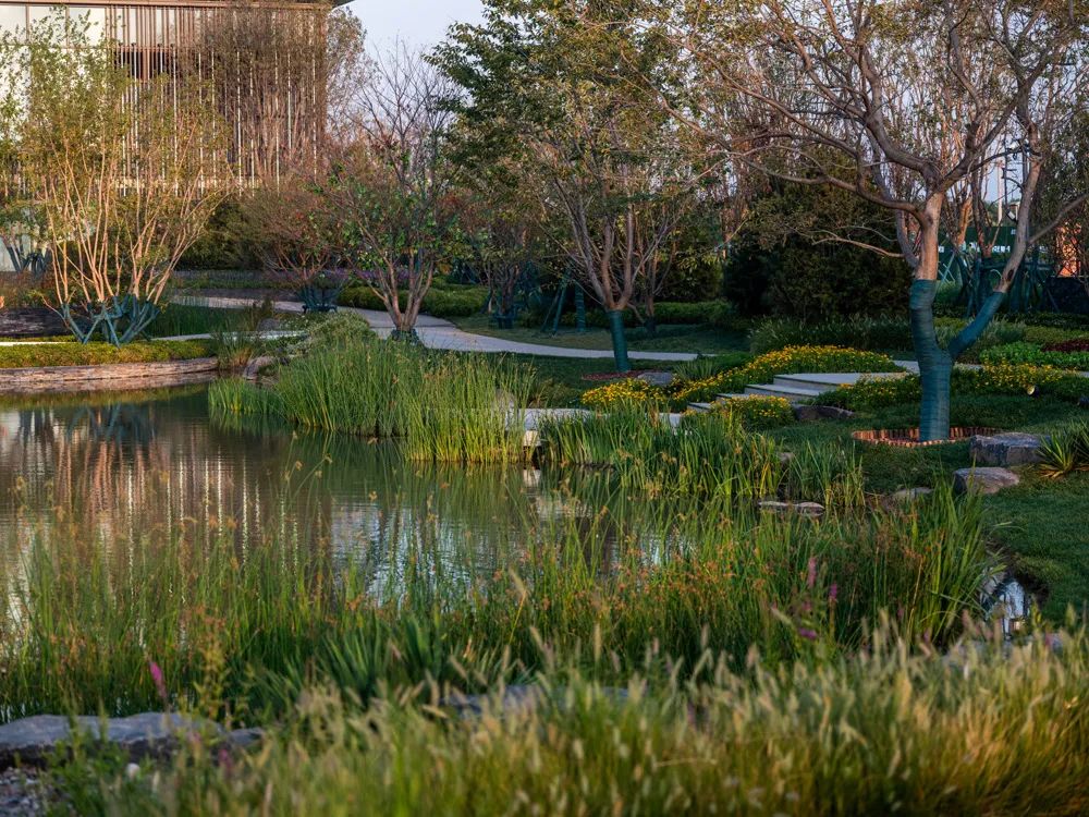 亲自然栖居华章——雅居乐滨河雅郡展示区-76