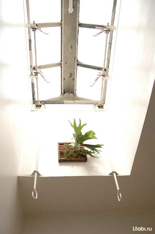 芝加哥住宅丨美国芝加哥丨彼得和林妮（芝加哥设计师）-12