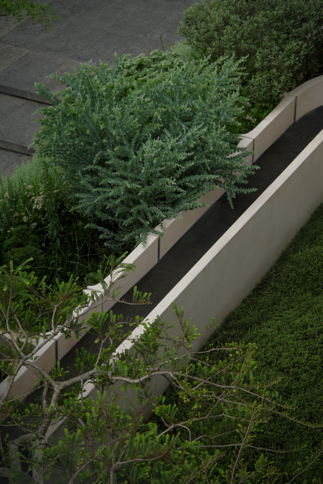 深圳后海招商玺丨中国深圳丨承迹景观Change Studio等多家公司-34