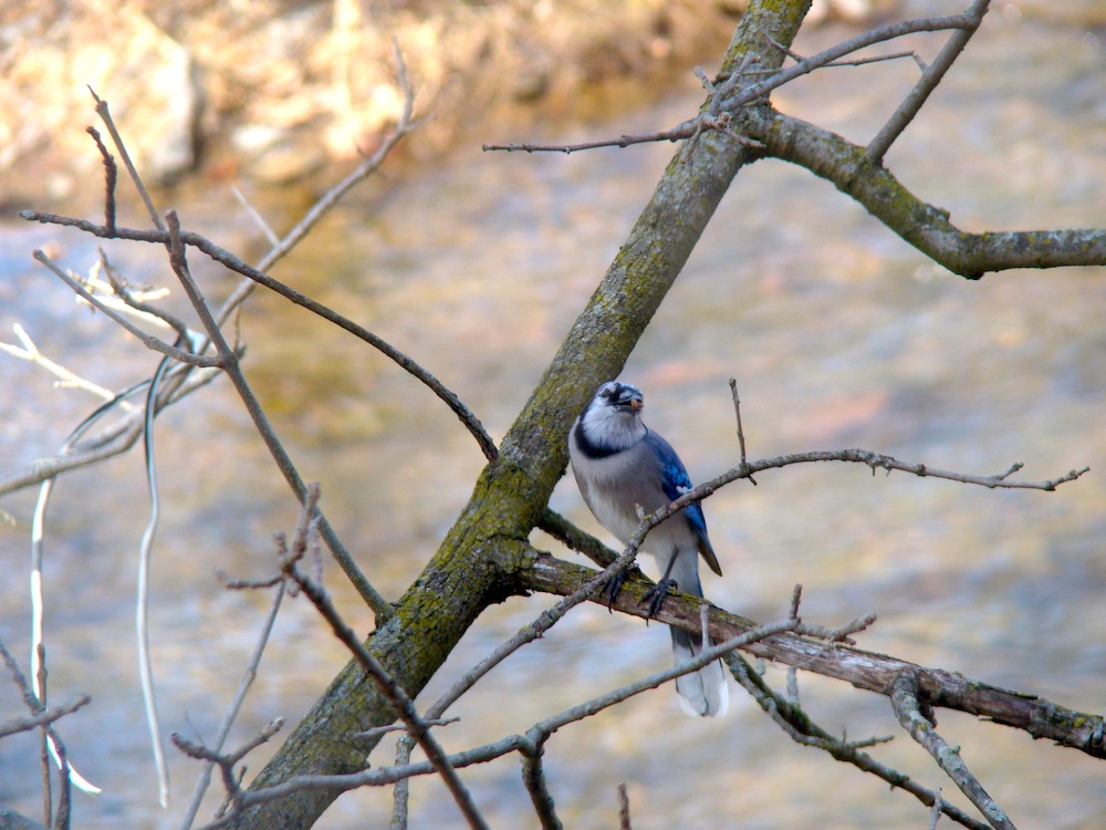 复古复兴 | 19 世纪 50 年代美国宾夕法尼亚州小威尼斯建筑群-129