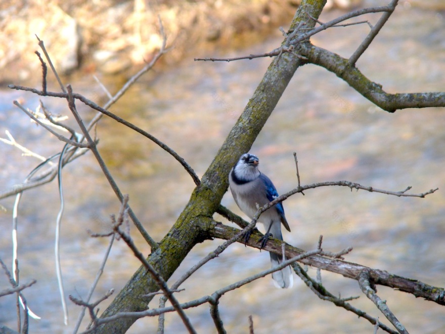 复古复兴 | 19 世纪 50 年代美国宾夕法尼亚州小威尼斯建筑群-129