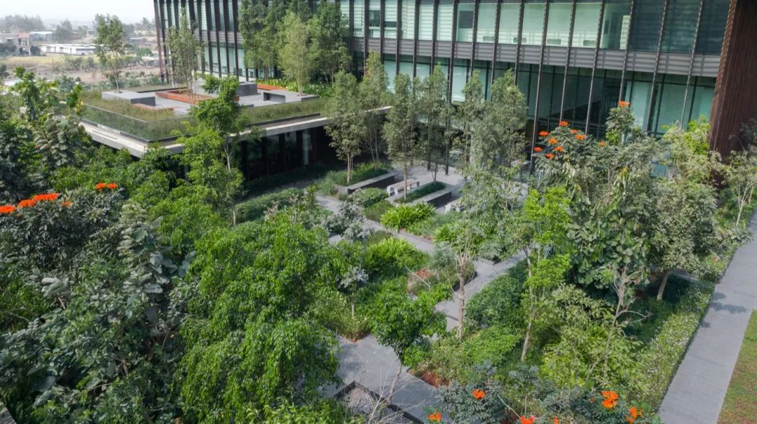 印度 Lupin Research 公园-9