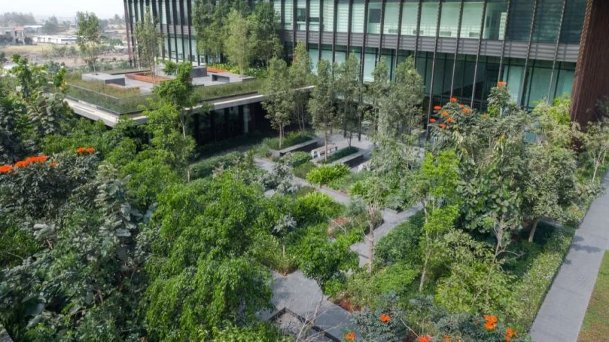 印度 Lupin Research 公园-9