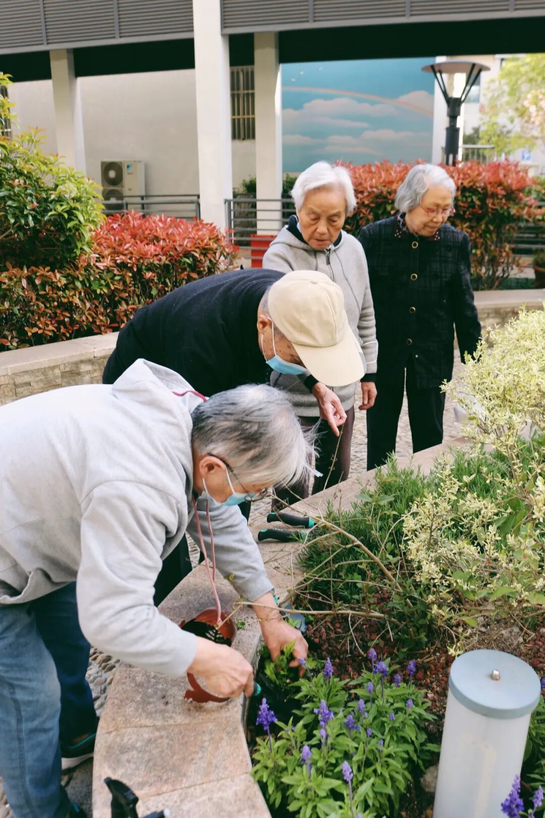 用植物疗愈时光，以设计重塑银龄价值｜春日系列工作坊回顾-116