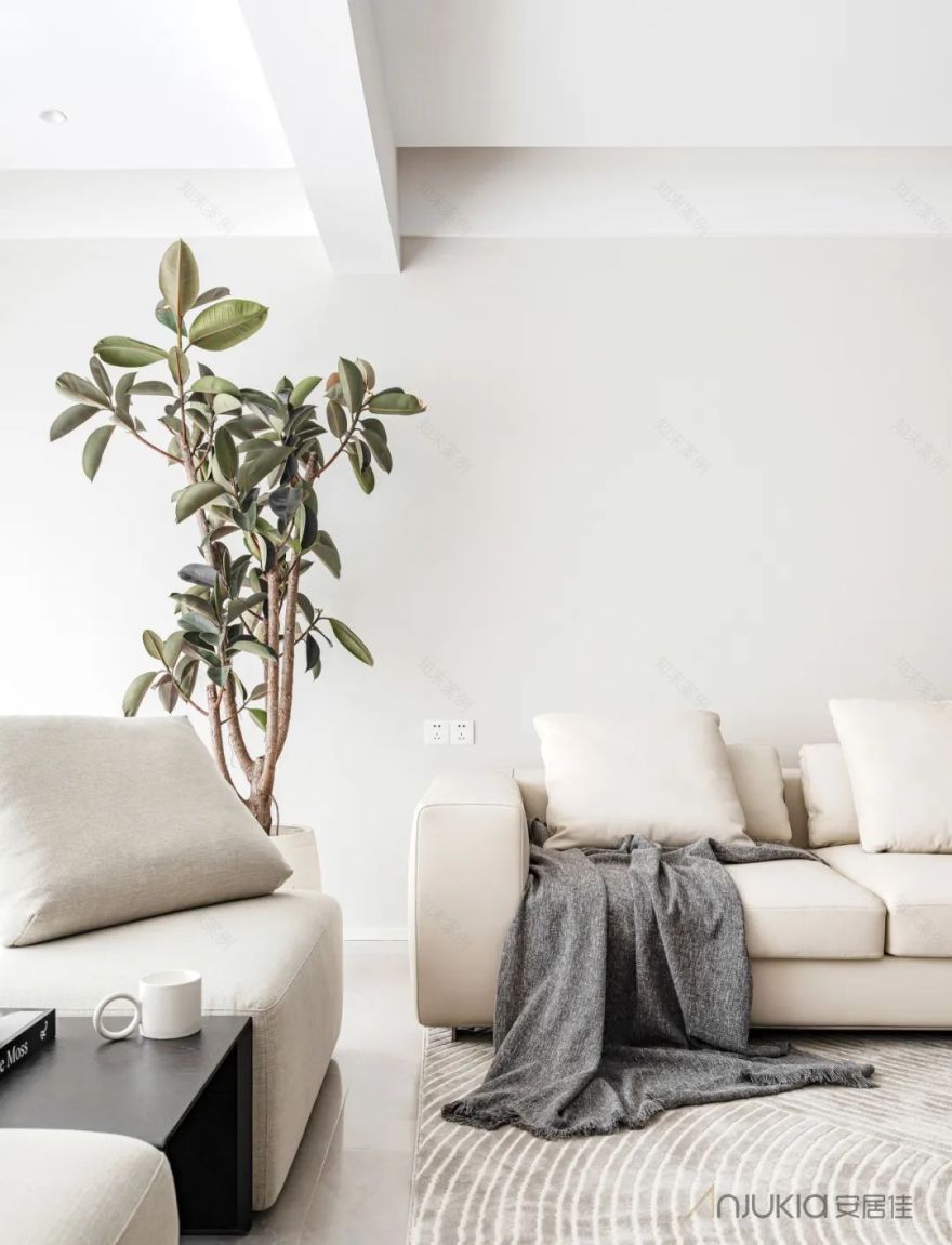 安居佳作品 | 素染追光,淡雅温柔-3