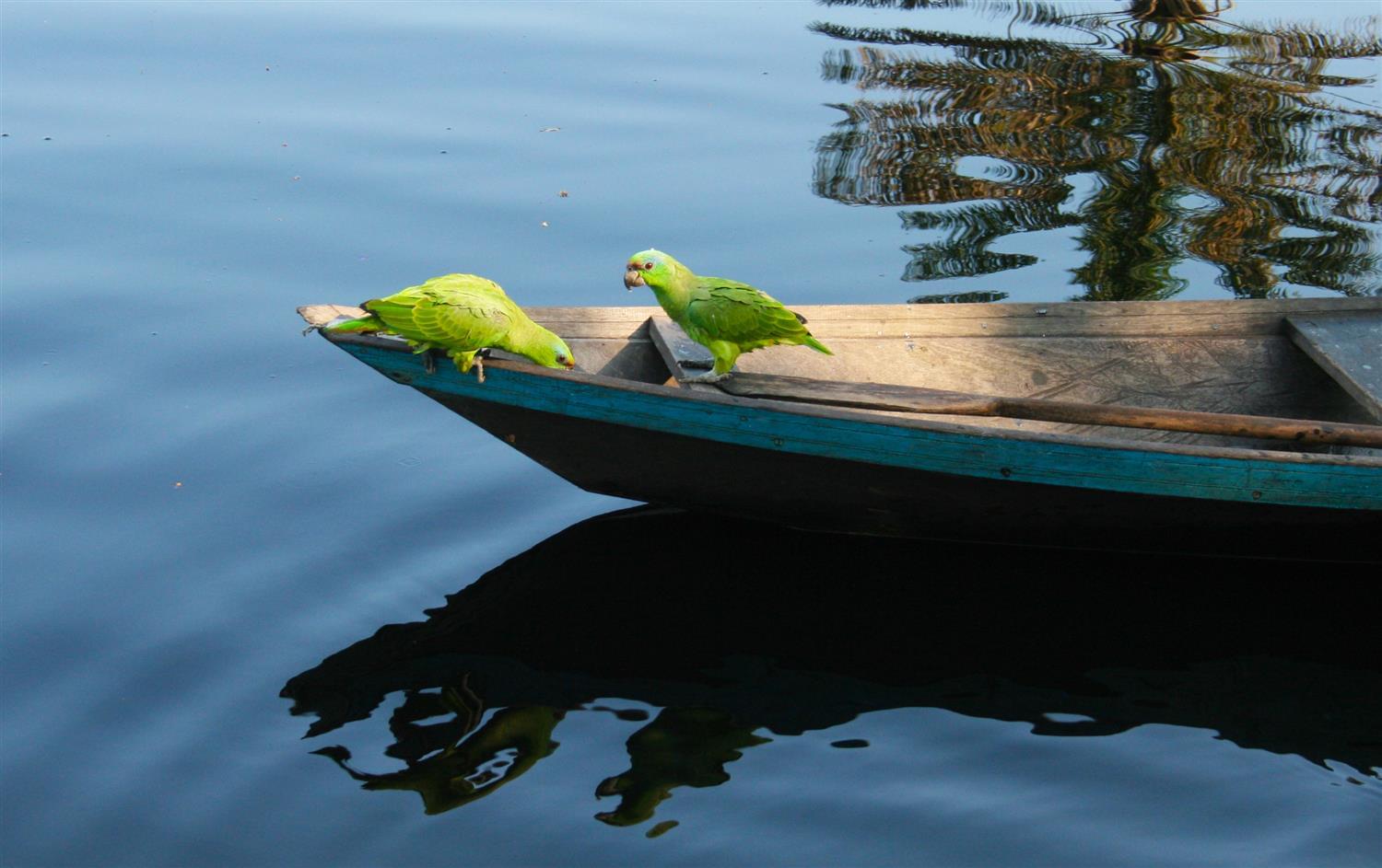 亚马逊鸟瞰酒店-16