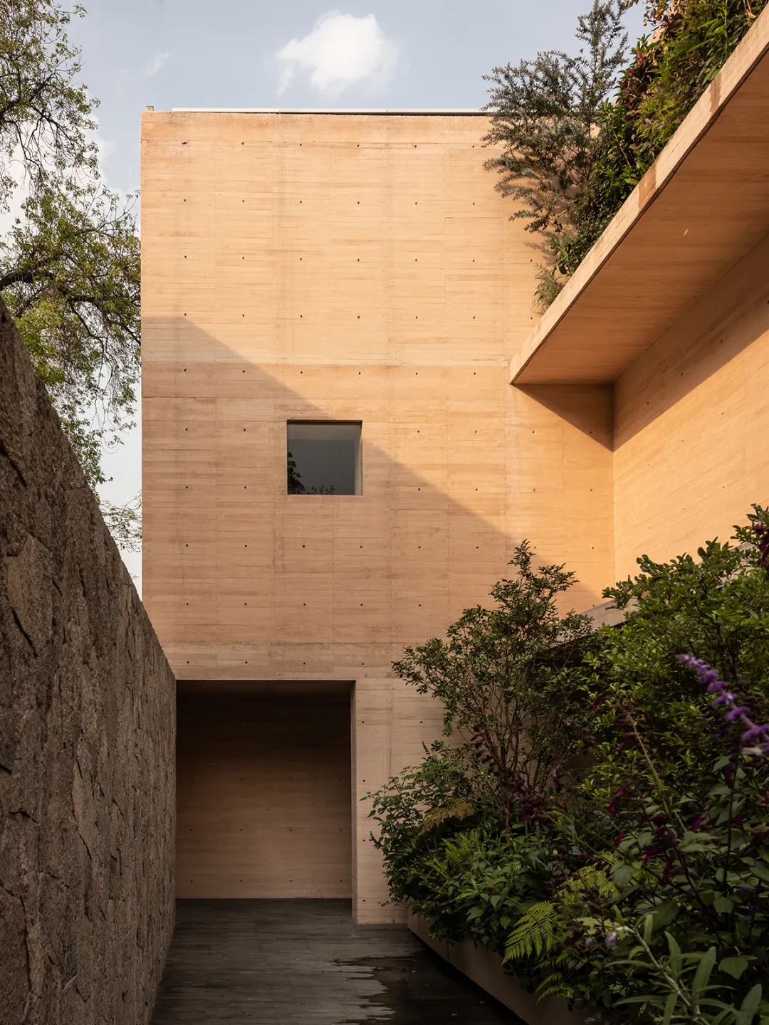 特霍科特之家丨墨西哥丨Gonzalez Muchow Arquitectos-45