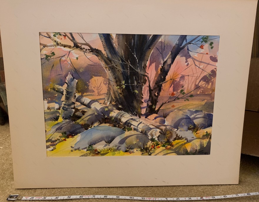 Harry Senger Watercolors相关画作展示-26