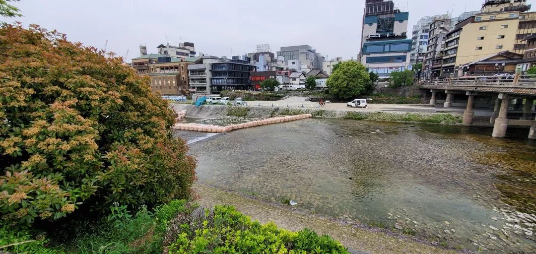 京都古韵 | 探秘日本传统文化象征之地-13