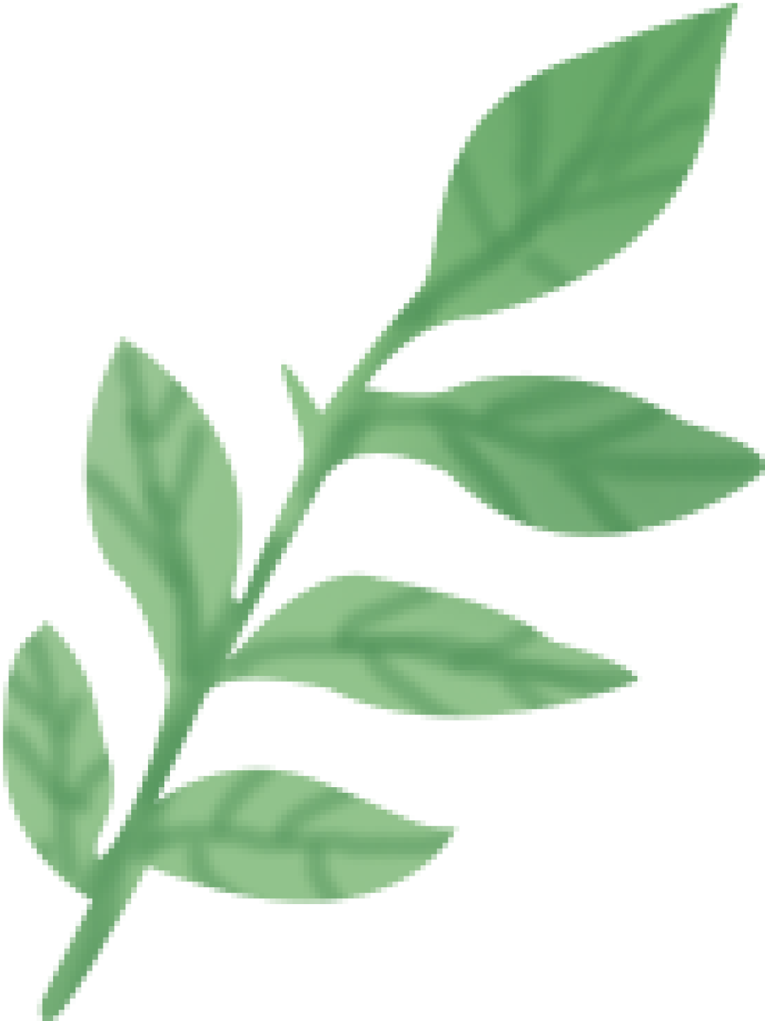 绿居仙踪 | 4.3 YIM 休闲 MUJI 风-14