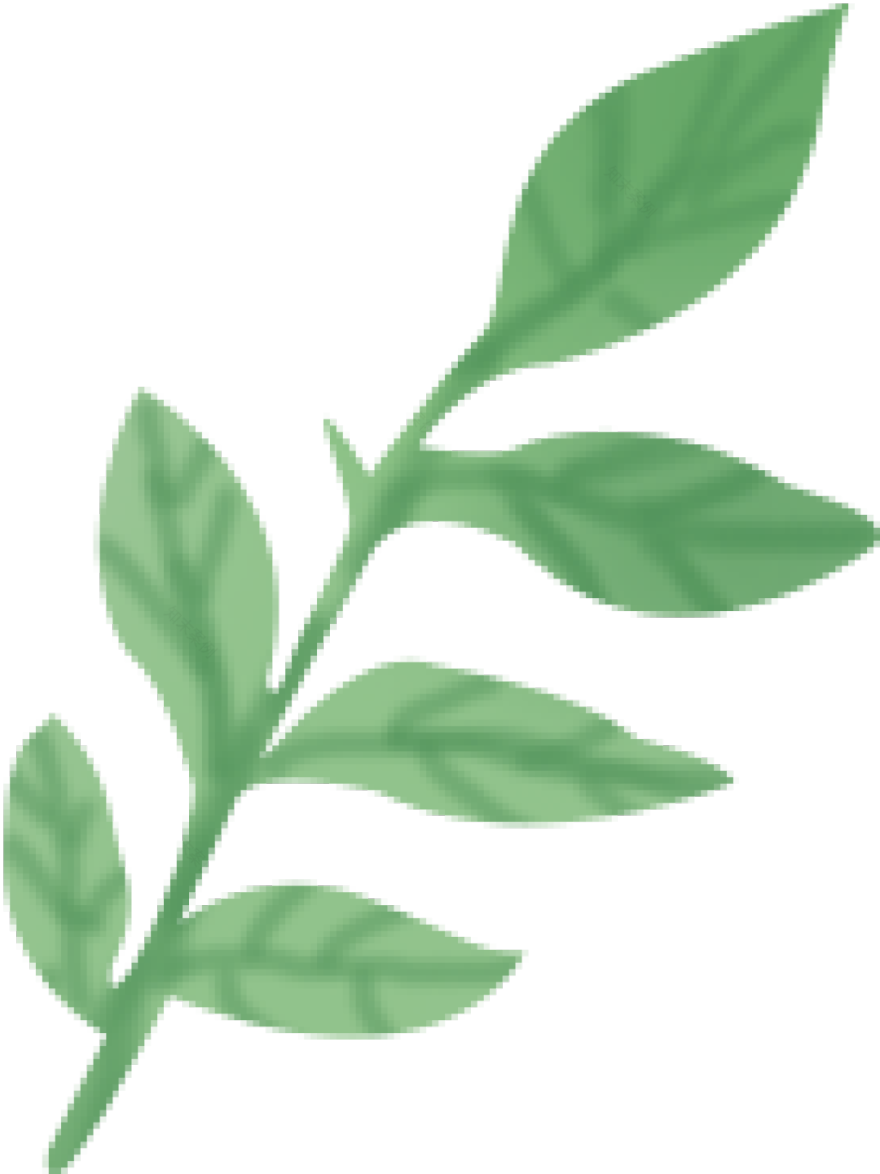 绿居仙踪 | 4.3 YIM 休闲 MUJI 风-14