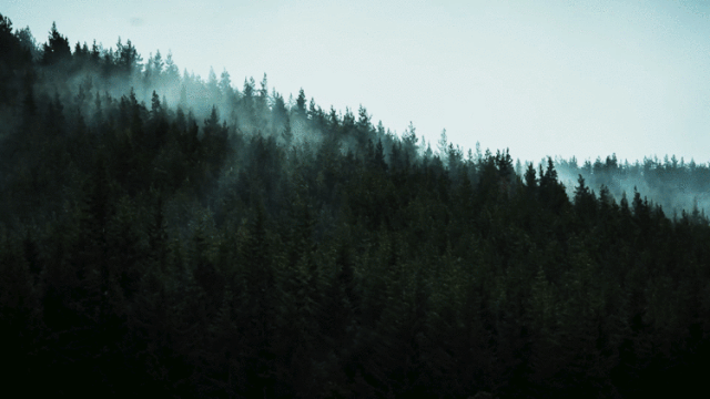 苏格兰“侘寂酒店” | 维多利亚女王狩猎小屋的蜕变-1