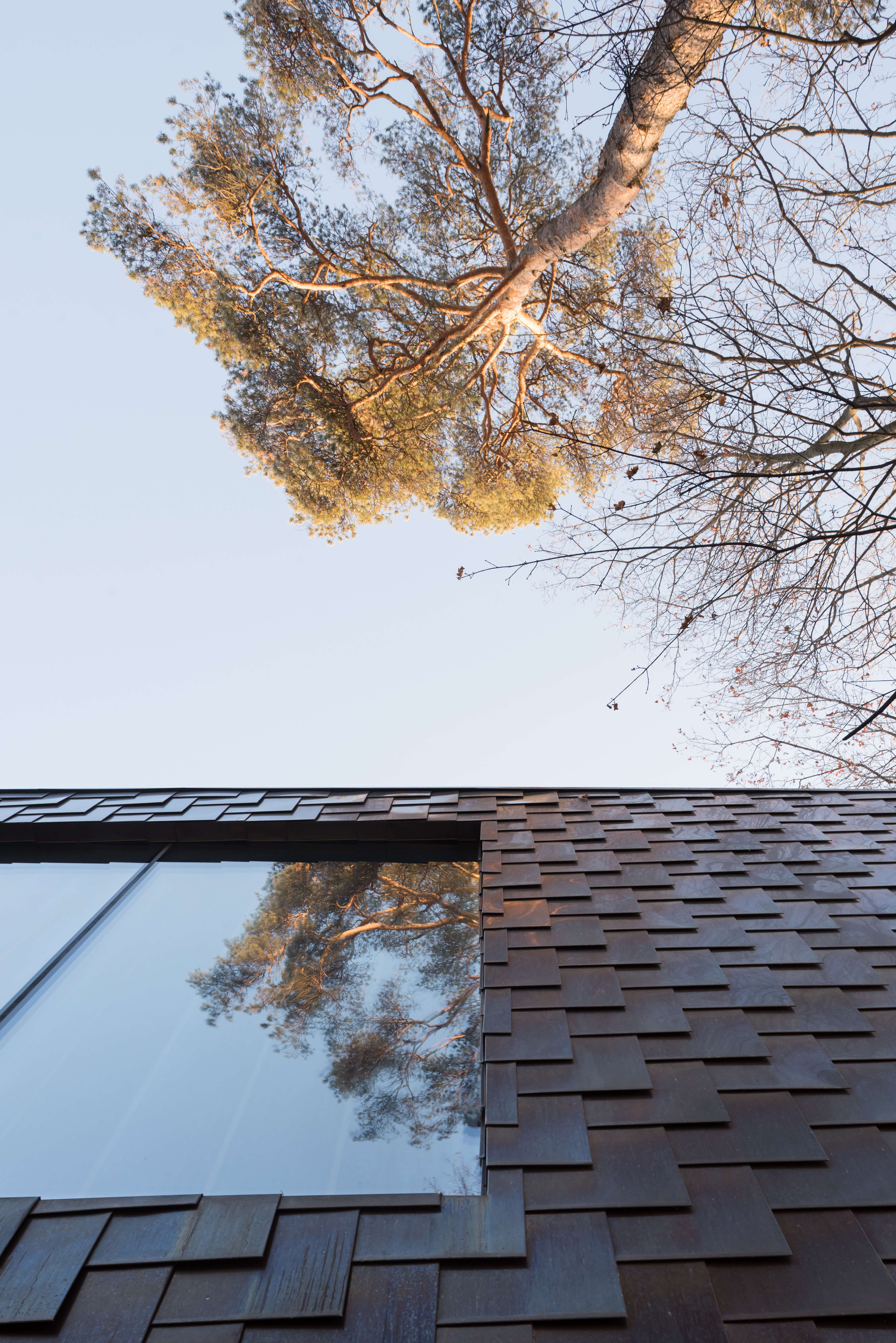 Copper Shell House Moscow Winter Alexandra Fedorova-1