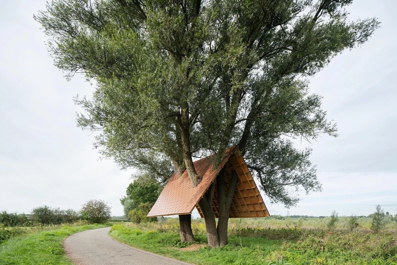 庇护所;避难所;掩蔽处丨荷兰丨比利时事务所 Gijs van vaerenbergh-11