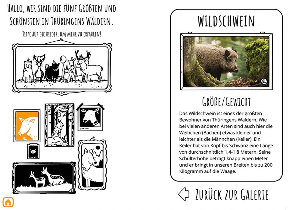 埃尔福特艾格公园知识森林丨德国丨德国雷瓦德景观建筑事务所-124