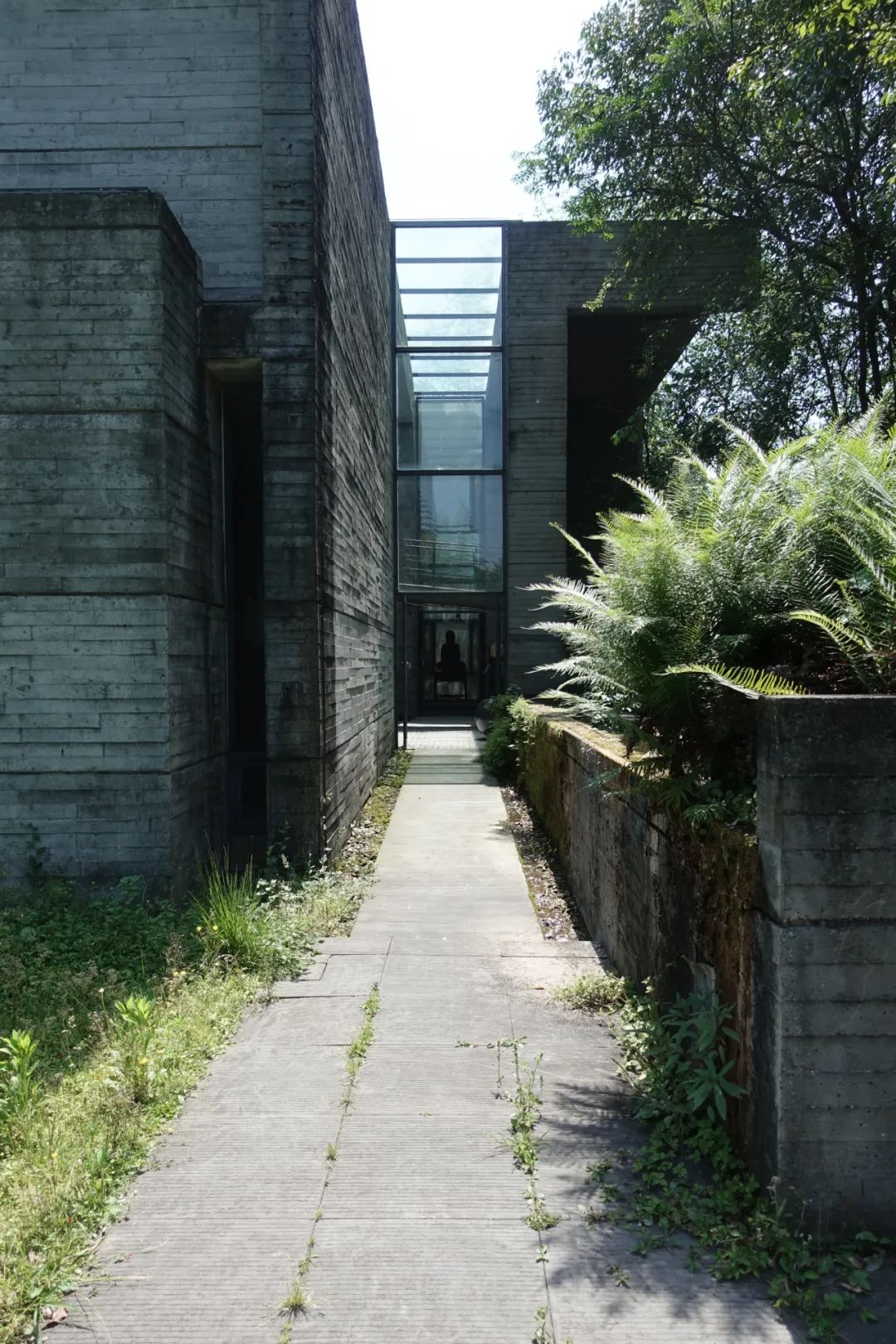 鹿野苑，经验与体验之间丨碎片笔记-77