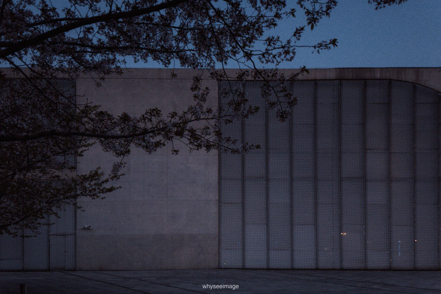 樱花+龙美术馆丨中国上海丨大舍建筑设计工作室-172